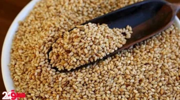السمسم كنز من الفوائد الصحية لكنه يخفي أضرارًا خطيرة لهذه الفئات